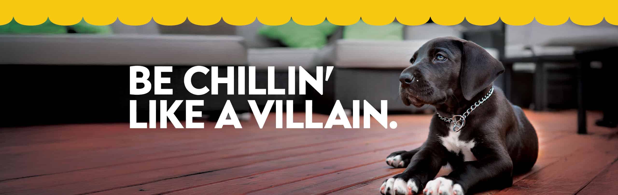 Be chillin' like a villain with a puppy under a shade